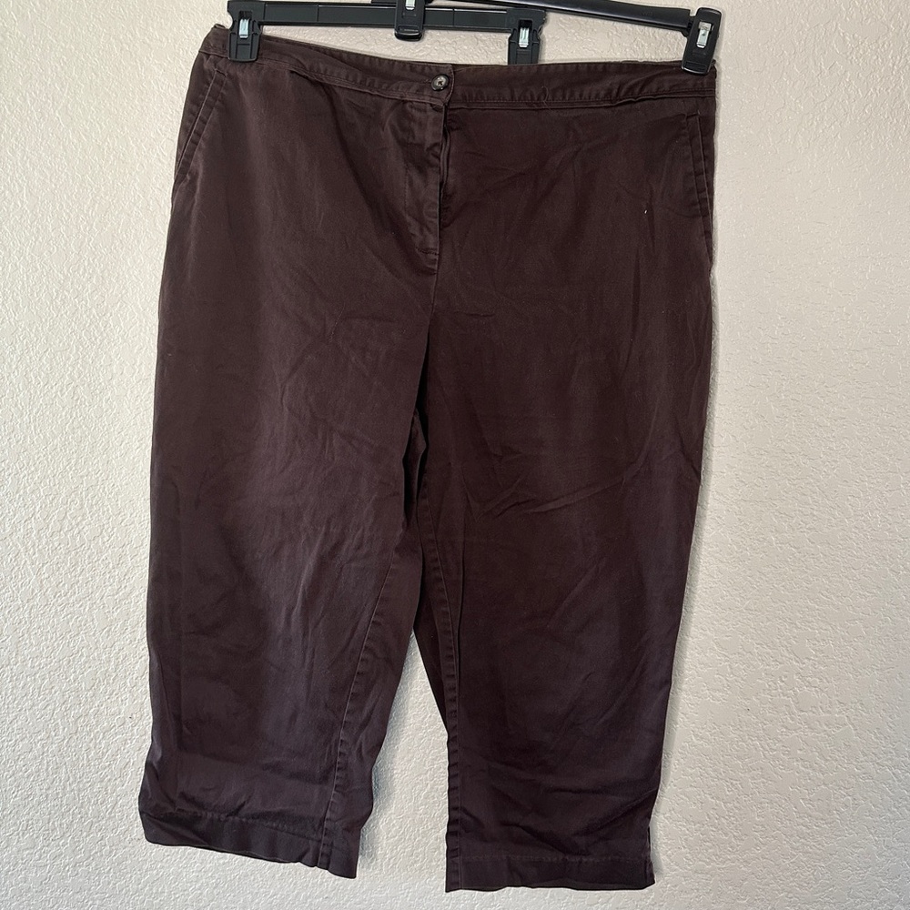 Maggie Barnes for Catherine's Brown capri pants Size 2X
